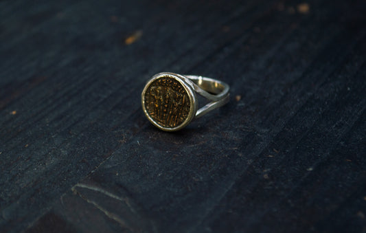 Hõbedast sõrmus Vana-Rooma mündiga