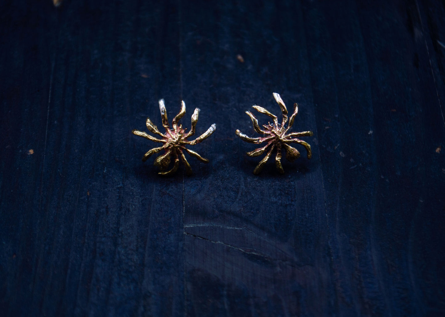 Brass earrings with a spider motif