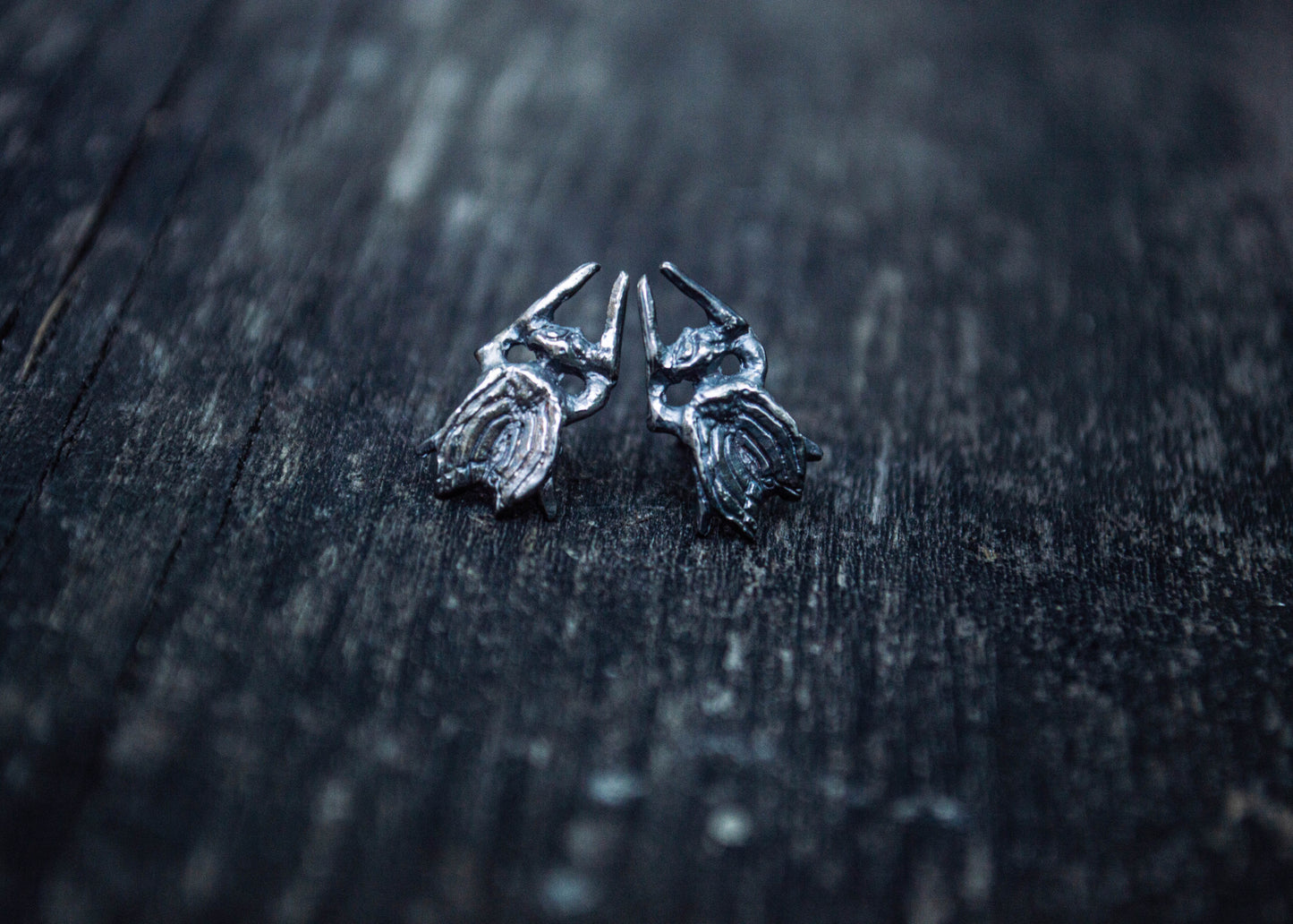 Silver fly earrings